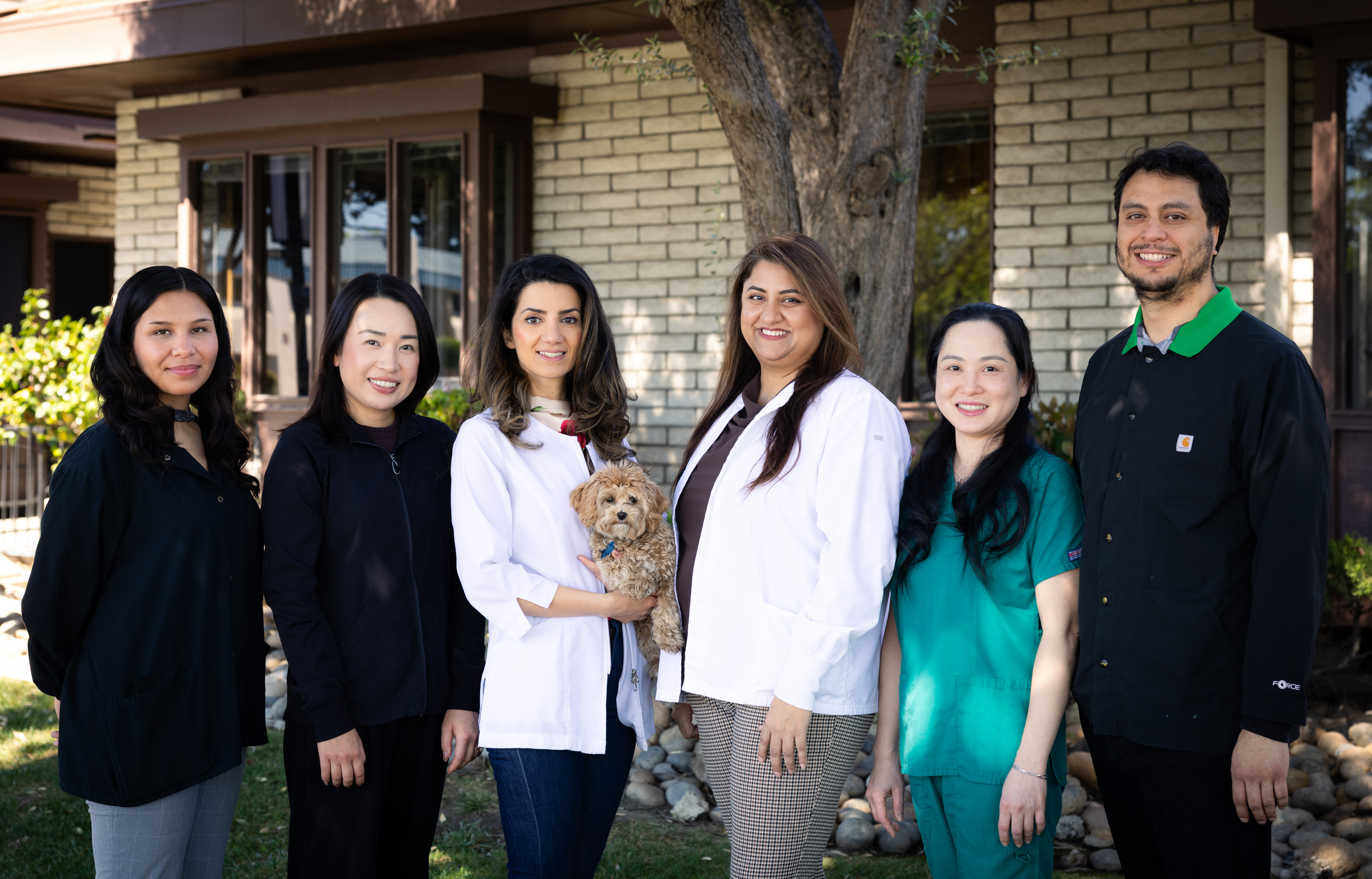 Bay Area Dental & Implant Center Team
