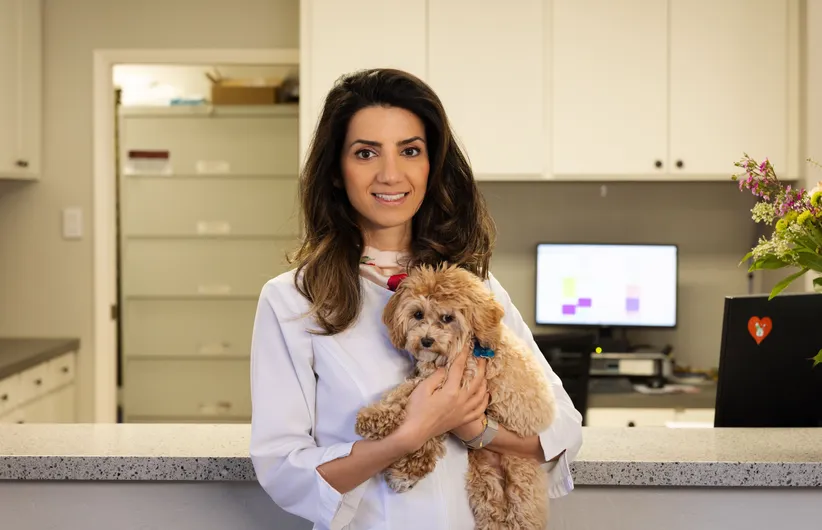 Pumpkin the office mascot